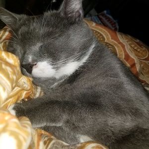 Meet your Posher, Amy